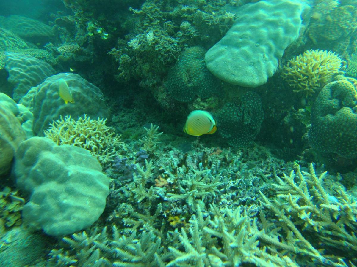 Playa Encantada Beach Resort El Nido Eksteriør bilde